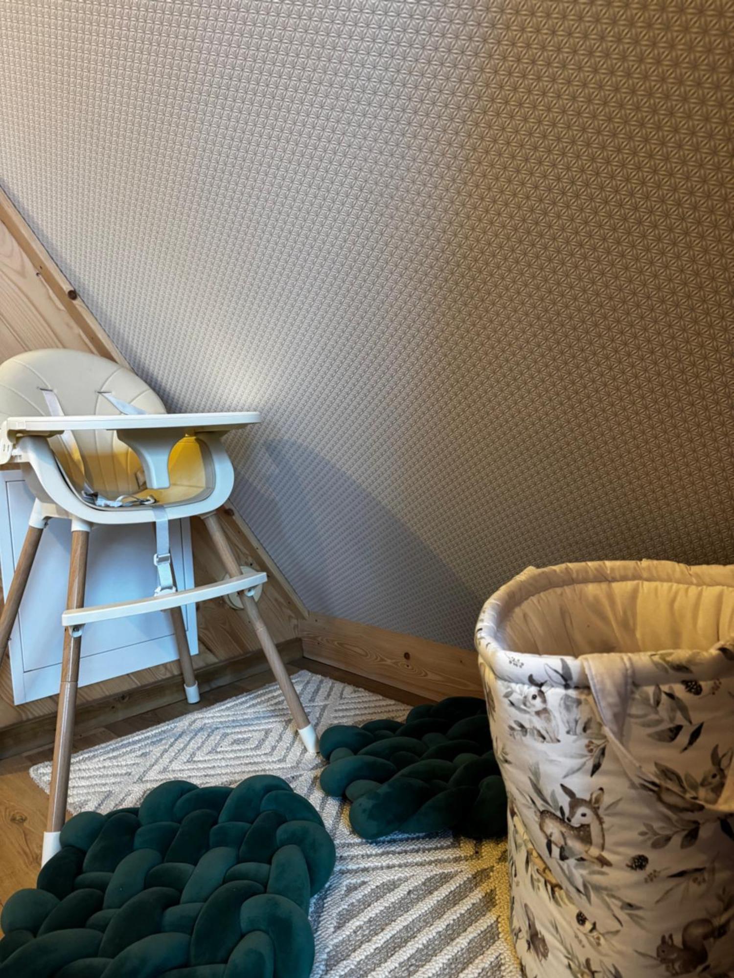 Pokoje I Apartamenty Regionalny Styl Ul Bachledy 20 ザコパネ エクステリア 写真